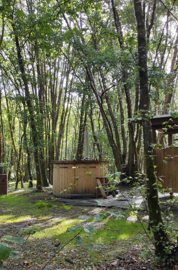 Cabanas Das Chousas ルーゴ エクステリア 写真
